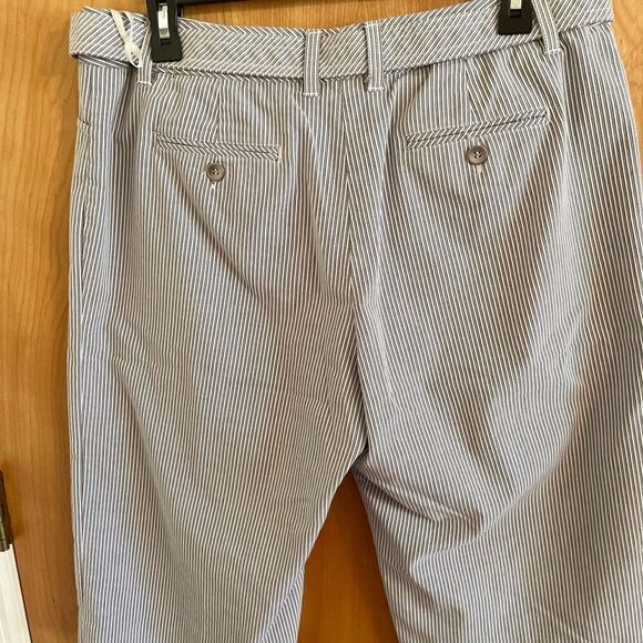 ALFANI BLUE and white striped Capris size 12 - Picture 3 of 7